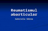 reumatism abarticular