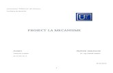 Proiect OM 2003