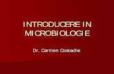 Cursuri Microbiologie