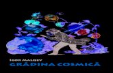 Gradina Cosmica-Igor Malisev