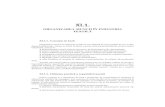Sectiunea_XI----normele de munca.pdf