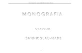 35724552 Monografie Sannicolau Mare