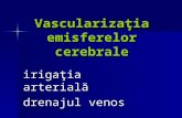 vascularizatia encefalului