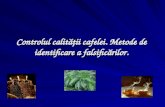 Controlul Calitatii Cafelei - Metode de Identificare a Falsificarilor
