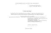 Ion Certan Thesis