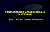 8. metab glucidic 2