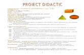 Proiect didactic corpuri geometrice