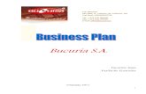 69853811 Bucuria Business Plan