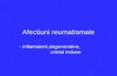 Afectiuni Reumatismale Curs