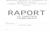 Raport La Practica Tehnologica