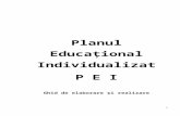 PLAN EDUCAŢIONAL INDIVIDUALIZAT-2
