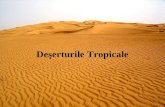 deserturi tropicale