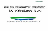 Analiza Diagnostic Strategic Albalact