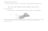 Plan de Dezvoltare Locala Al Microregiunii TH-TP