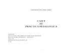 Caietdepracticapedagogica2 Ptr Final- Varianta Veche