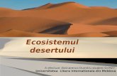 Ecosistemul Desertului