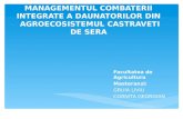 Managementul Combaterii Integrate Castraveti