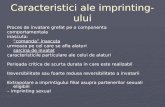 4Caracteristici Ale Imprinting-ului