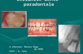 Leziunile dento-paradontale