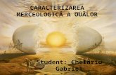 CARACTERIZAREA MERCEOLOGICA A OUĂLOR-Chelariu Gabriel