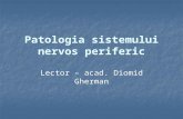 73459315 Patologia Sistemului Nervos Periferic Ro (1)