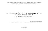 Curs Analiza Economico Financiara 2012-2013