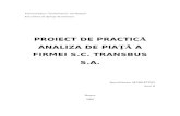 Proiect de Practica - Analiza de Piata a Firmei SC Transbus SA