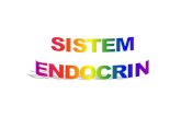 Curs Sistem Endocrin Studenti-transfer Ro-14mar-1b9159