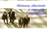 03 2007 Misiune Ob Strategii
