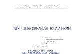 Structura Organizatorica a Firmei (1)