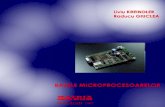Bazele microprocesoarelor