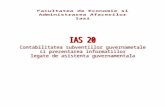 IAS 20.doc