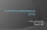 EKG Ul+Normal+Powerpoint