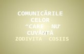Comunicarile Celor Care Nu Cuvanta-01-Zodivita Cosiis