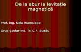 De La Abur La Levitatie Magnetica