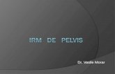 IRM Pelvis Pt Colegiu