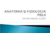 CURS Anatomia Si Fiziologia Pielii 2003