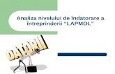 Analiza nivelului de îndatorare a întreprinderii "LAPMOL"