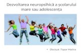 Dezvoltarea Neuropsihică a Școlarului Mare Sau Adolescența