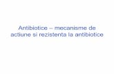 181201312 Antibiotice – Mecanisme de Actiune Si Rezistenta La Ppt