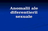 Anomalii Ale Diferentierii Sexuale_DANA