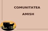 Comunitatea amish f 1.3