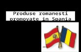 Produse romanesti promovate in spania