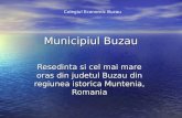 Buzau region for OLE project