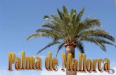Palma de Mallorca5