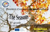 Autumn  "The Seasons" - Comenius Project