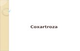 Curs coxartroza master