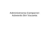 2010.10.16 Vlad ANDRIES - Administrarea campaniei Adwords din vacanta