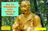 Manastirea Celor 10000 De Budha Fa