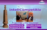 Intell Competitiv